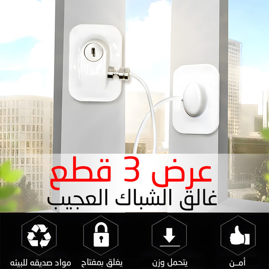 3 Wonder Window Cleaner قطعة