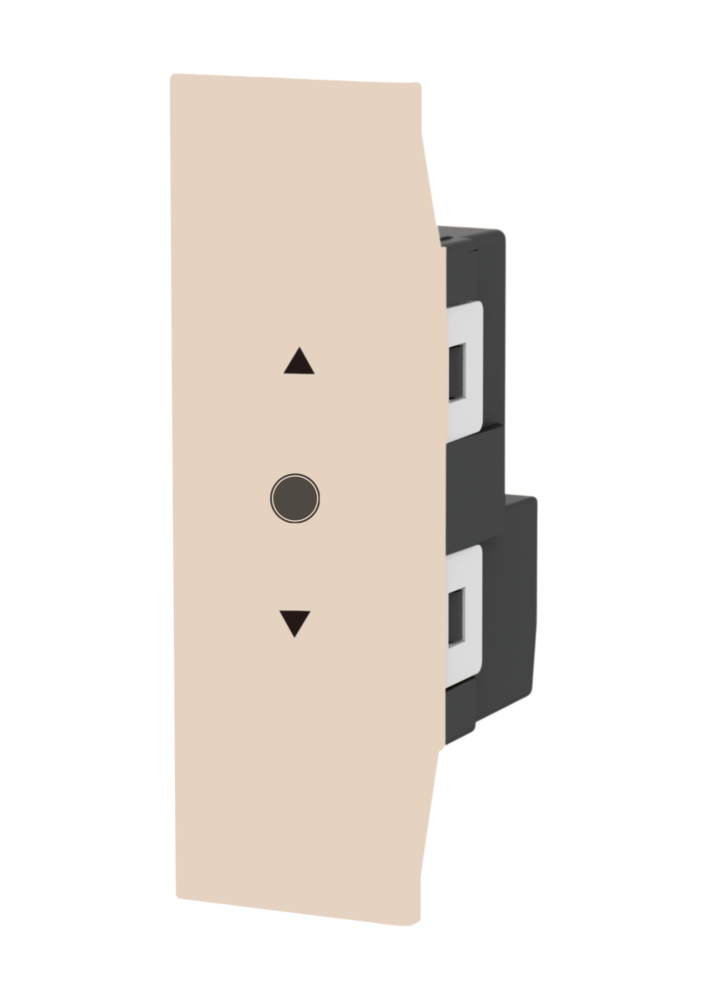 24mm Curtain Switch