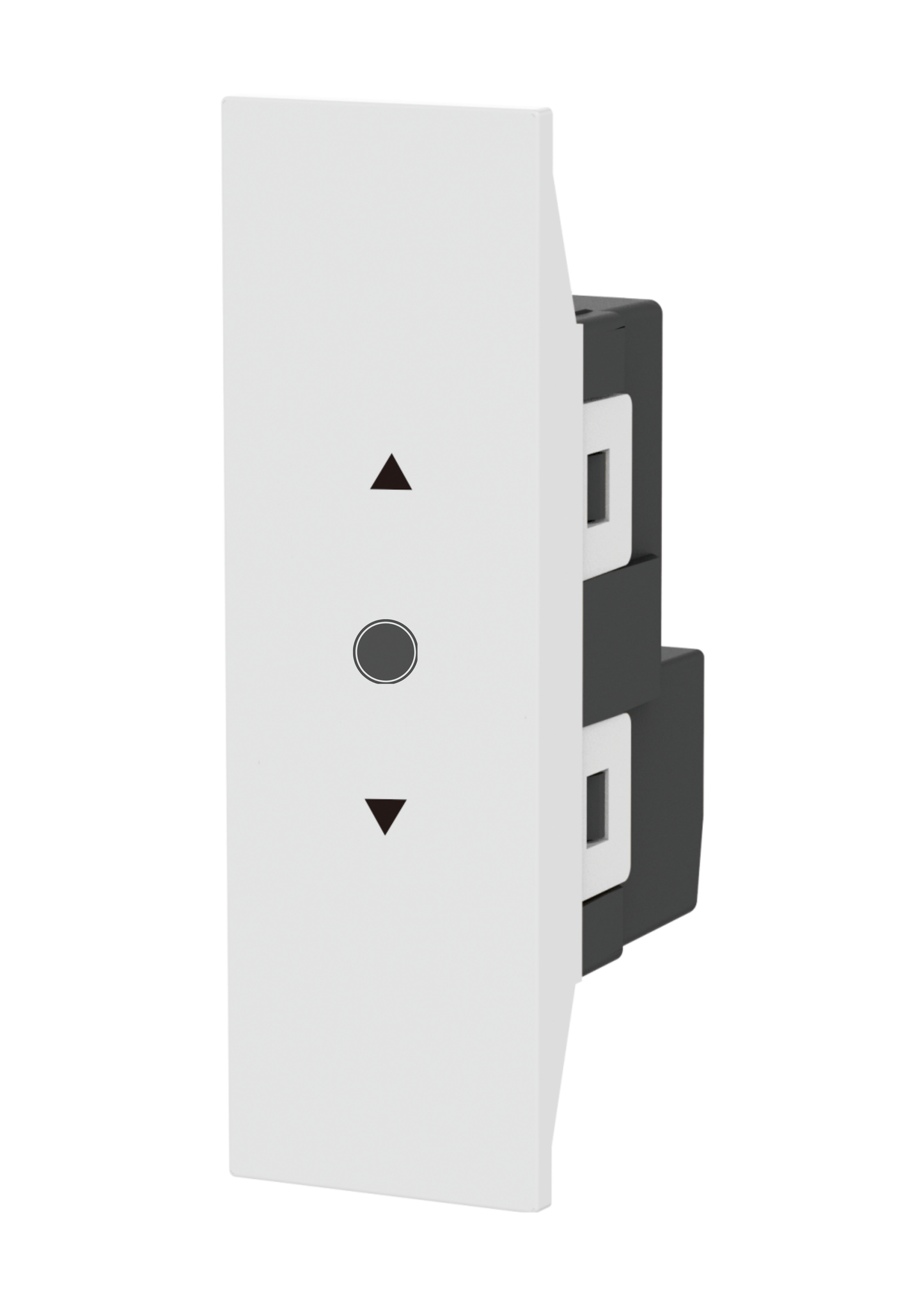 24mm Curtain Switch